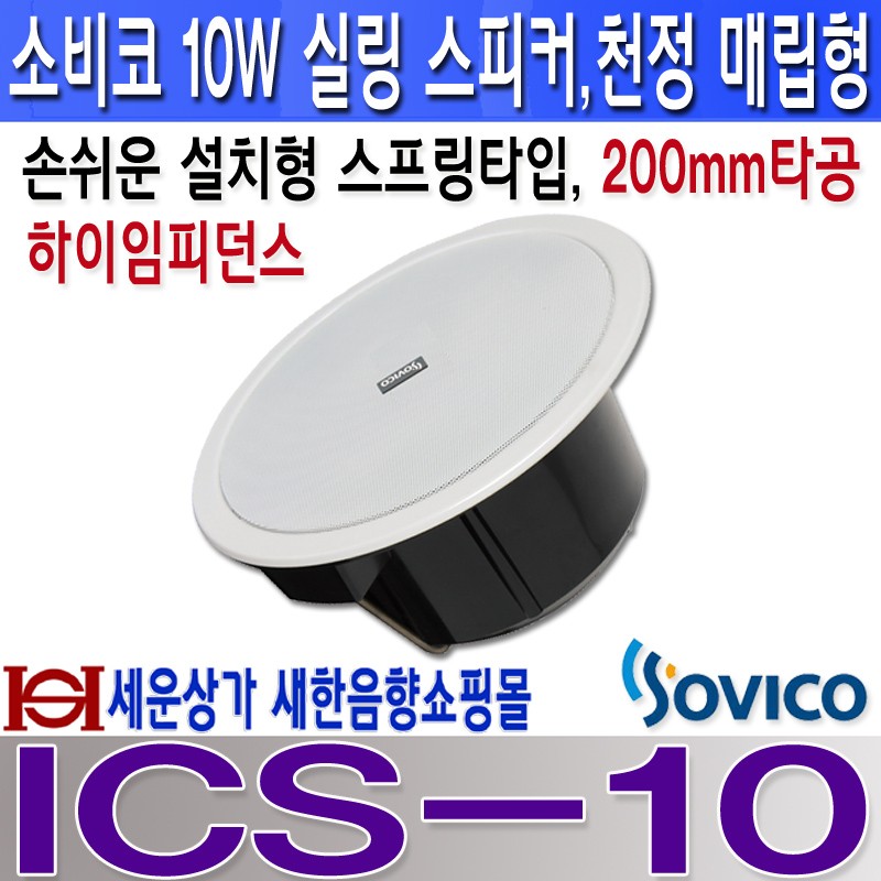 ICS-10 800 LOGO.jpg